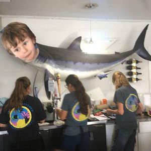 Meet your Posher, Frances